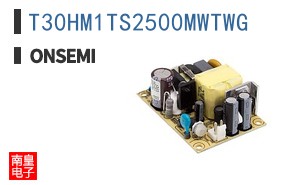 T30HM1TS2500MWTWG
